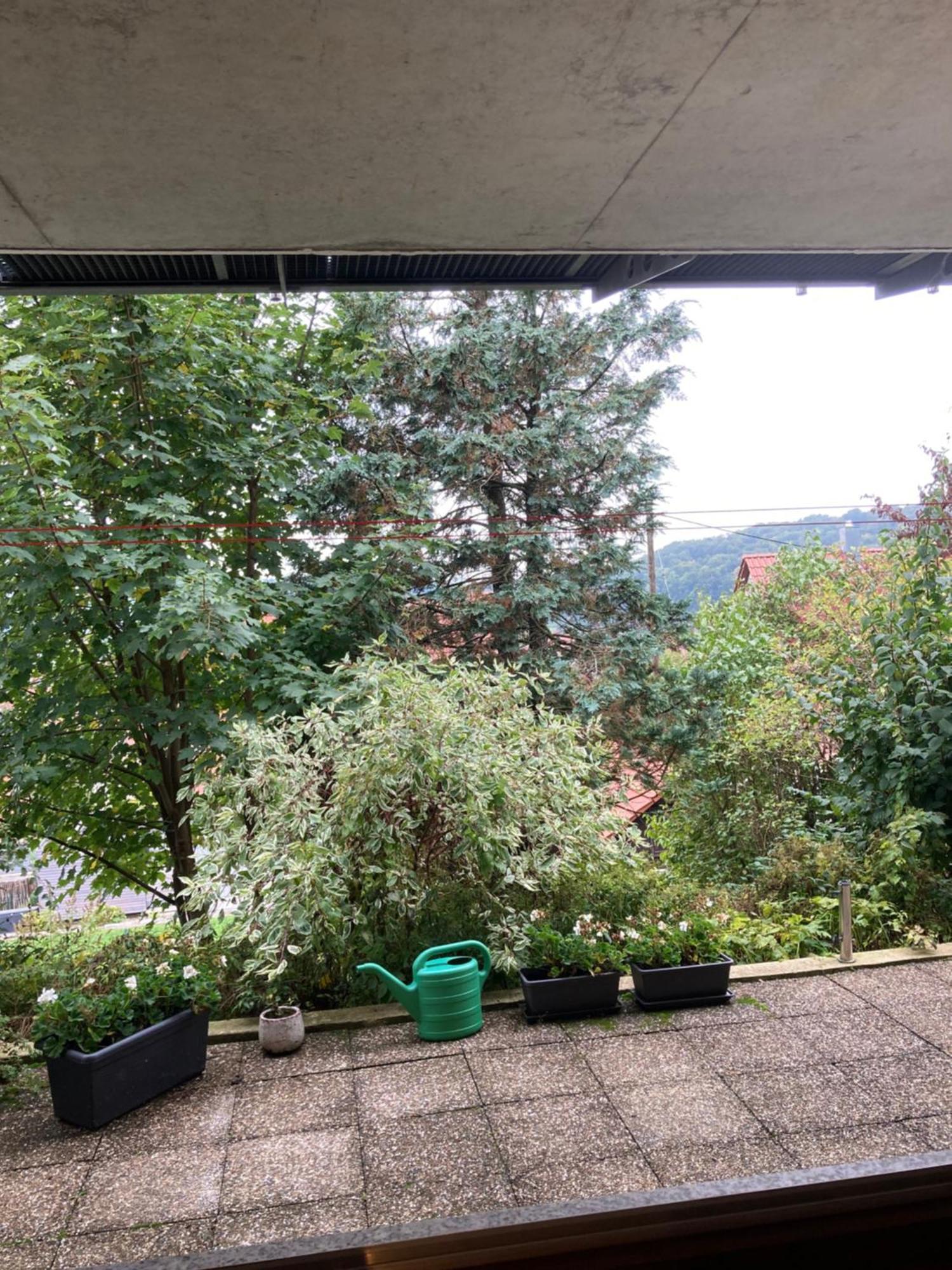 Appartement Lichtdurchflutete Sankt Johann (Baden-Wurttemberg)